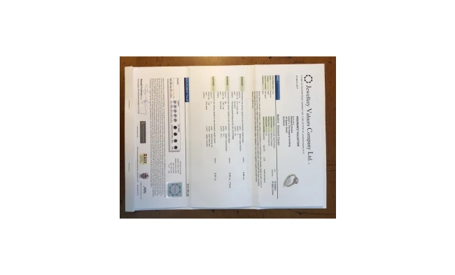 Naveya Sloane valuation